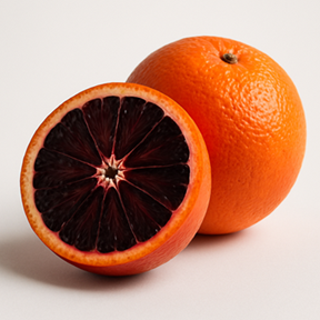 Delta 9 THC Syrup 1 Gallon - Bulk Fruit Flavors